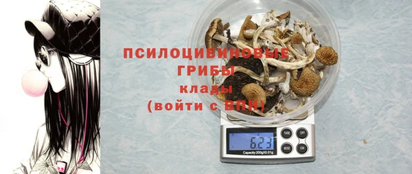 ешки Похвистнево