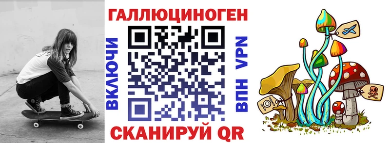 Псилоцибиновые грибы Psilocybe  где купить наркоту  Томмот 